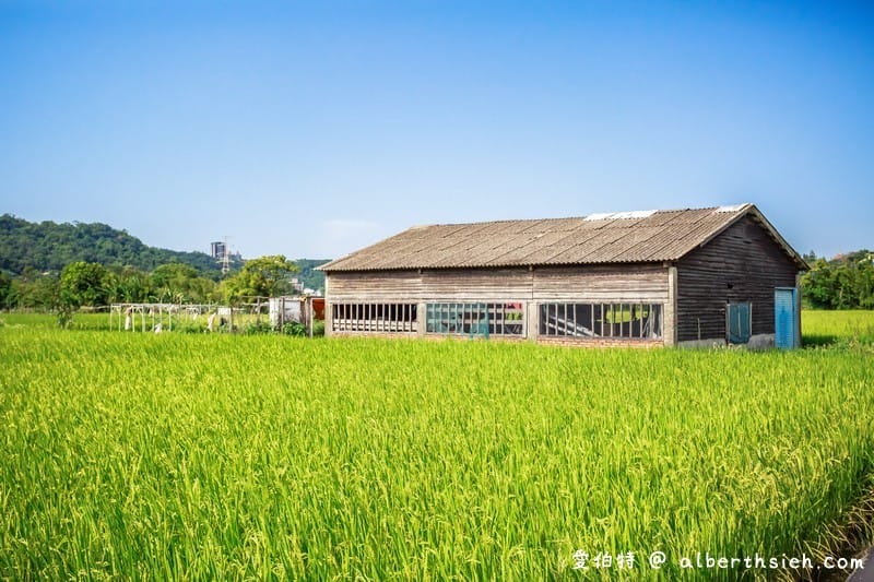 大溪順時埔（寧靜純樸的農村社區有著鮮綠欲滴的稻田美麗景緻）