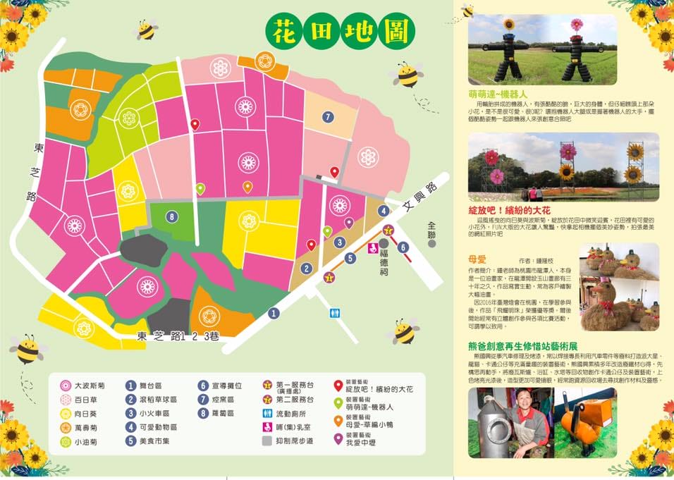 2019桃園花彩節中壢展區（波斯菊花浪、向日葵海、控窯體驗、花海小火車、萌萌噠機器人等你來美拍）