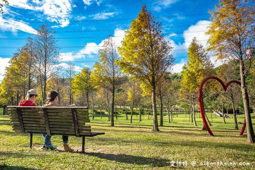 桃園落羽松大溪河濱公園（三愛心造景必拍，大草坪讓你愜意悠閒的野餐） @愛伯特