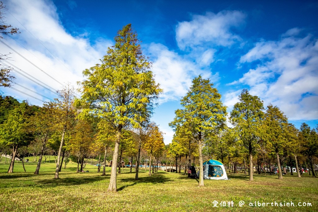 桃園落羽松大溪河濱公園（三愛心造景必拍，大草坪讓你愜意悠閒的野餐） @愛伯特