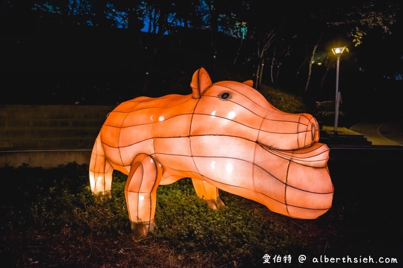 2020台灣燈會（台中文心森林公園童趣樂園戽斗動物花燈超可愛）