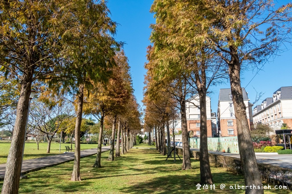 桃園落羽松推薦．玉山公園落羽松（桃園市區公園內的秋金黃冬褐紅林蔭大道） @愛伯特