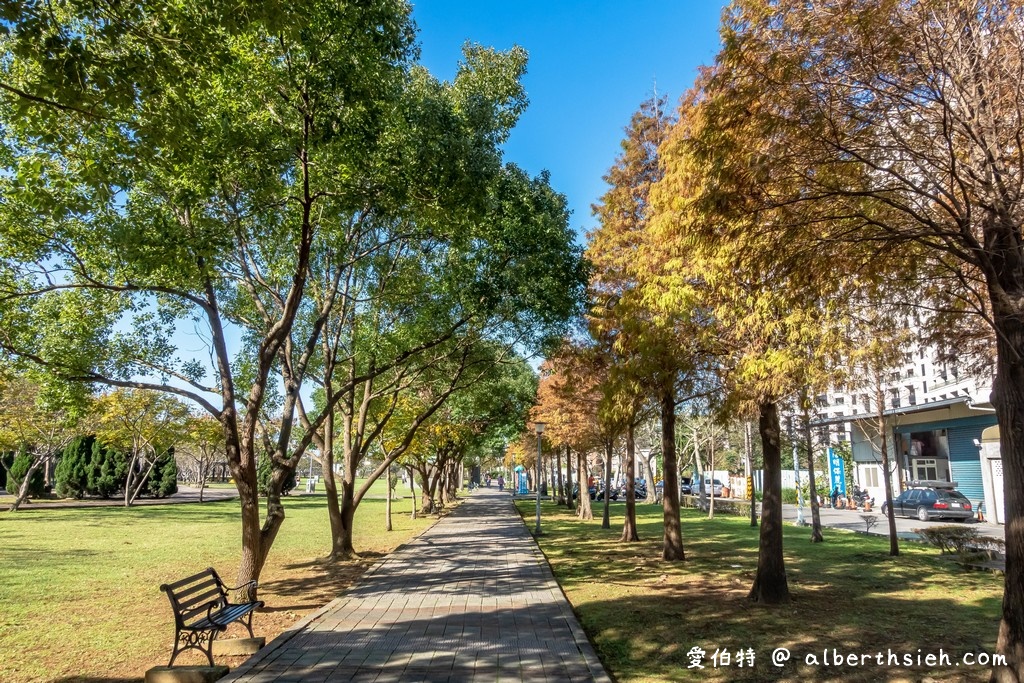 桃園落羽松推薦．玉山公園落羽松（桃園市區公園內的秋金黃冬褐紅林蔭大道） @愛伯特