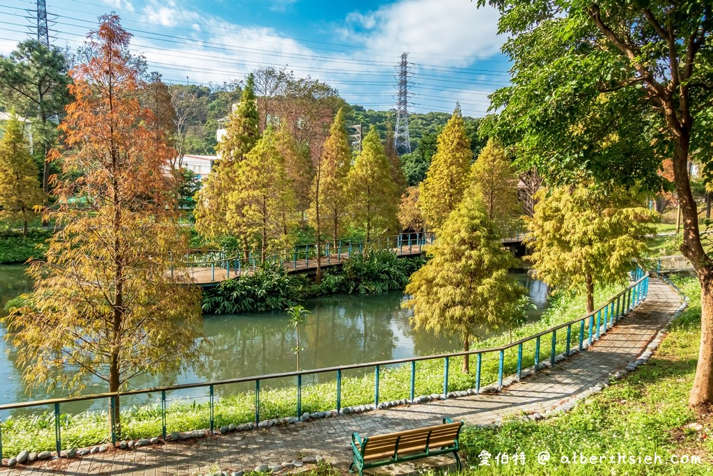 桃園落羽松．龜山長庚護理之家落羽松（長庚養生村，漫步於湖畔落羽松隧道，超美IG必拍打卡！） @愛伯特