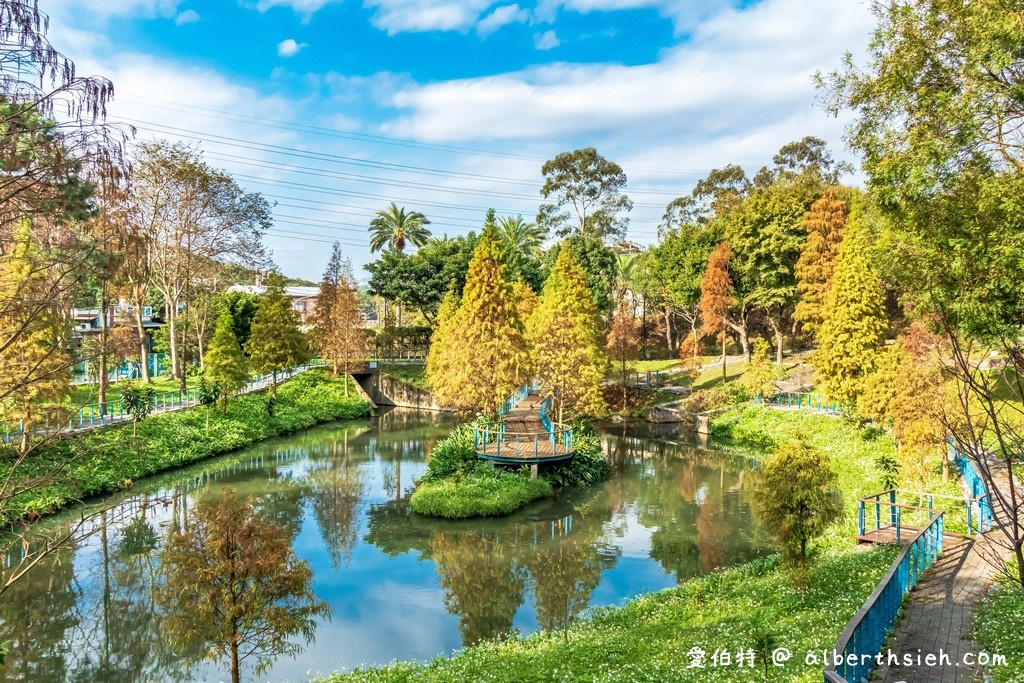 桃園落羽松．龜山長庚護理之家落羽松（長庚養生村，漫步於湖畔落羽松隧道，超美IG必拍打卡！） @愛伯特