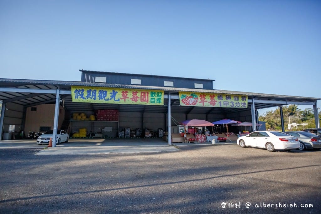 苗栗大湖採草莓．假期觀光草莓園（佔地一甲三地面/高架任你採，還有大型停車場）