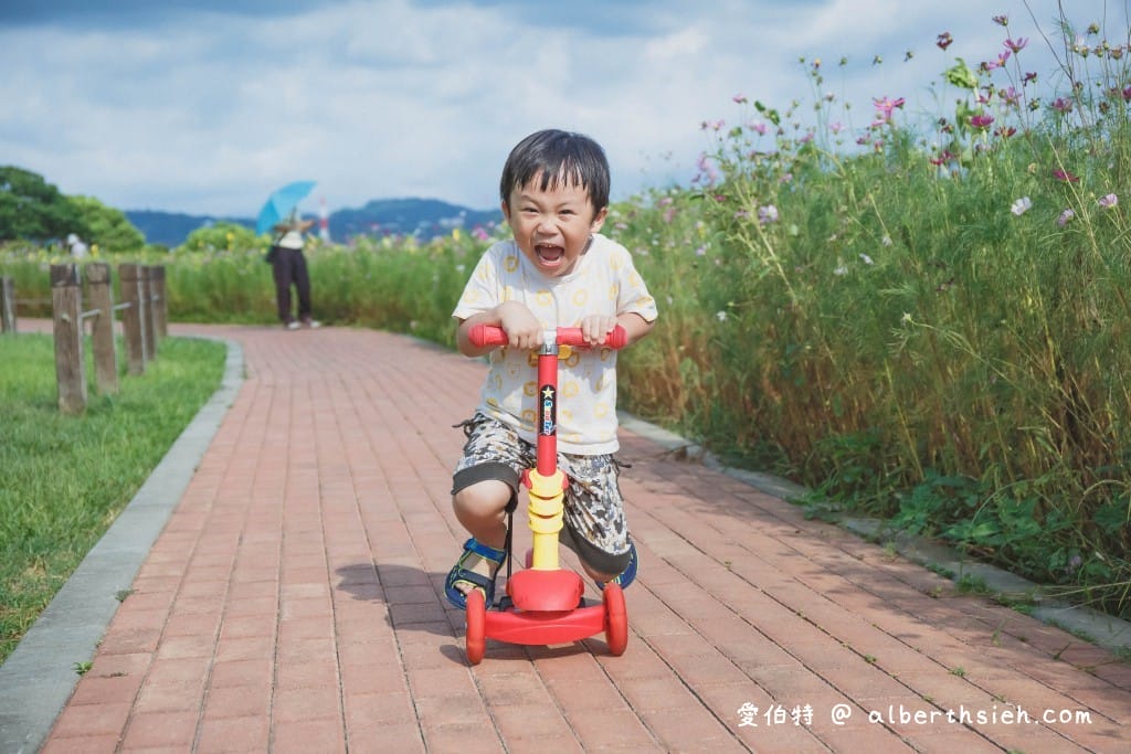 台中后里一日遊景點．后里環保公園（超壯觀的1.2公頃金黃向日葵花海）