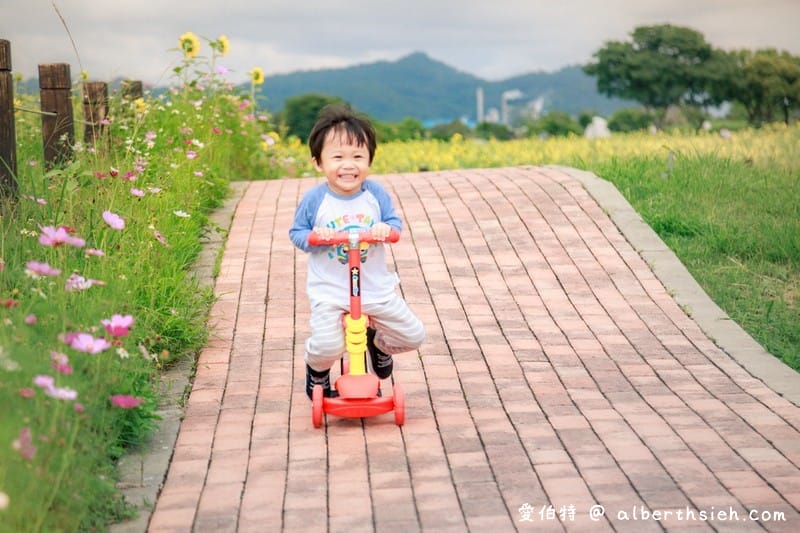 台中后里一日遊景點．后里環保公園（超壯觀的1.2公頃金黃向日葵花海）