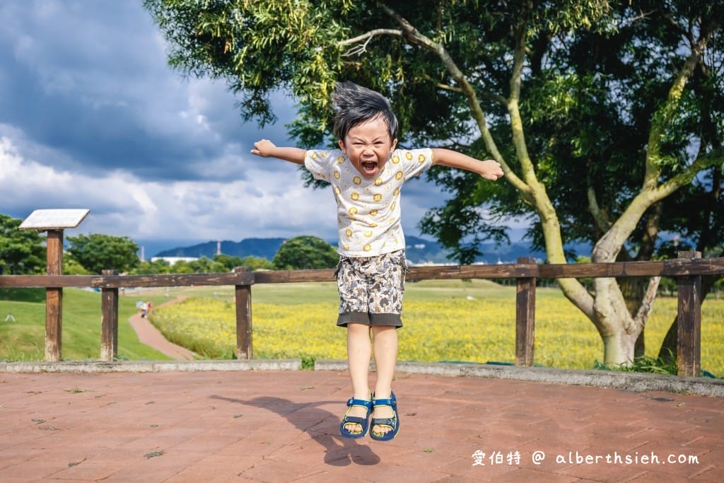 台中后里一日遊景點．后里環保公園（超壯觀的1.2公頃金黃向日葵花海）