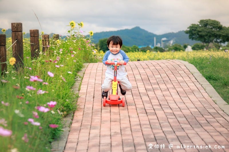 台中后里一日遊景點．后里環保公園（超壯觀的1.2公頃金黃向日葵花海）