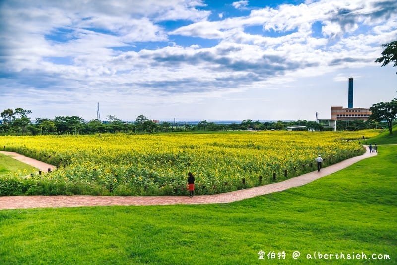 台中后里一日遊景點．后里環保公園（超壯觀的1.2公頃金黃向日葵花海）