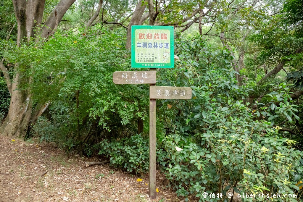 蘆竹羊稠森林步道（眺望高鐵行駛，寬敞平緩好走，運動踏青賞景皆宜） @愛伯特