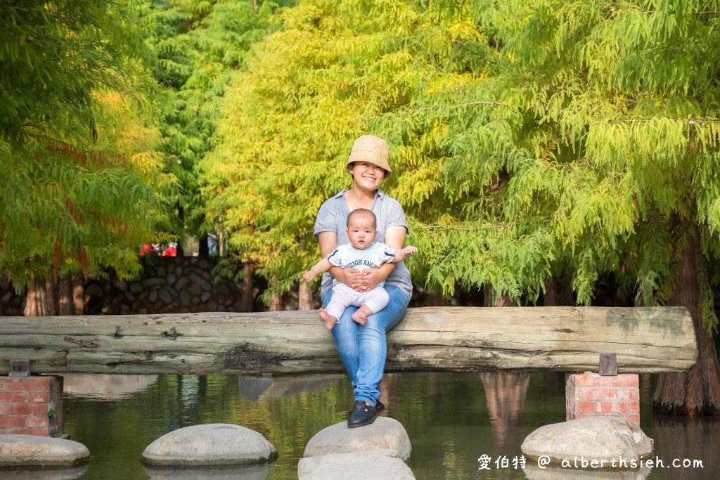 台中泰安落羽松．泰安羽粼落羽松（在哪裡/如何前往/停車位置/入園費用/美拍場景） @愛伯特