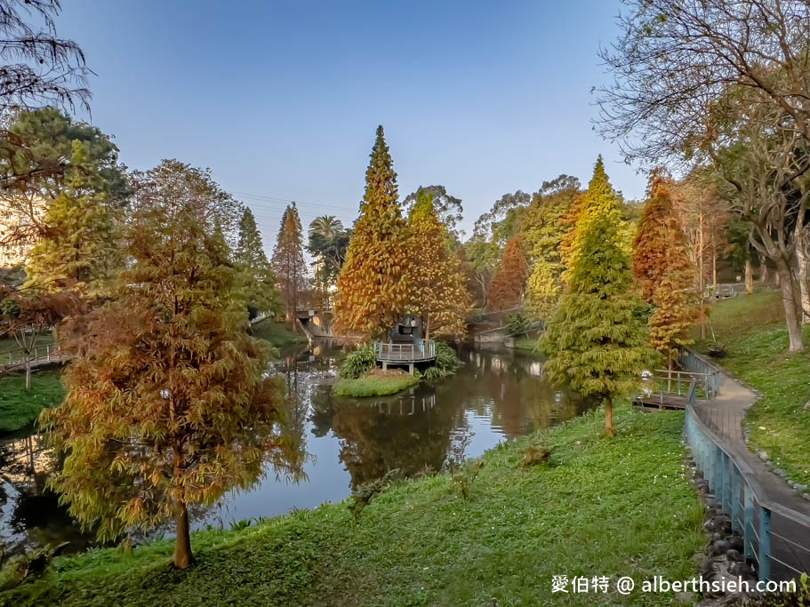 桃園落羽松．龜山長庚護理之家落羽松（長庚養生村，漫步於湖畔落羽松隧道，超美IG必拍打卡！） @愛伯特