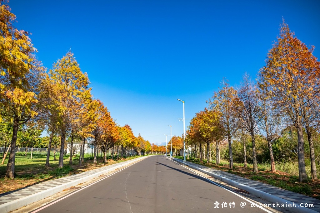 台中泰安落羽松．泰安羽粼落羽松（在哪裡/如何前往/停車位置/入園費用/美拍場景） @愛伯特