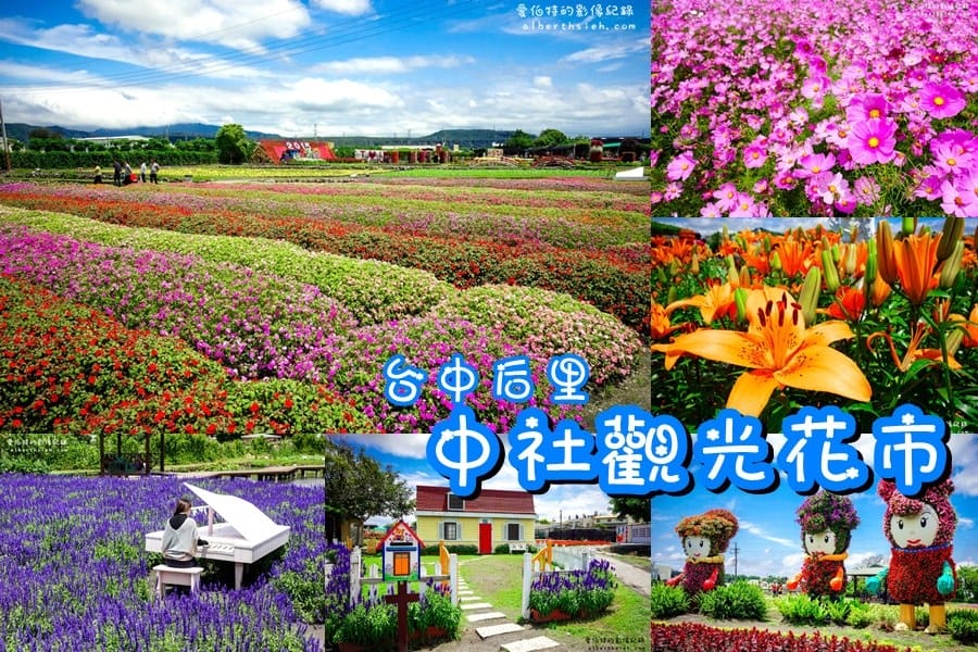 台中后里親子一日遊（星巴克夢幻積木城堡門市、中社觀光花市、舊社彩繪村、約客&厚禮、麗寶OUTLET）