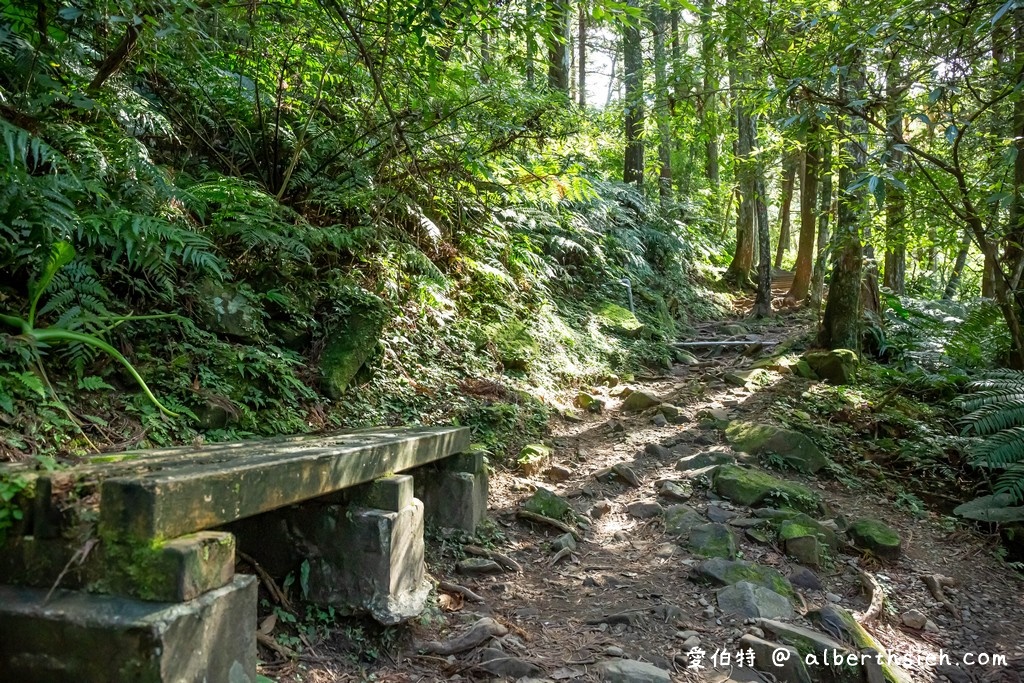 東眼山國家森林遊樂區．桃園復興景點（優惠門票、路線攻略、交通方式，自導式步道海拔1212公尺的台灣小百岳） @愛伯特