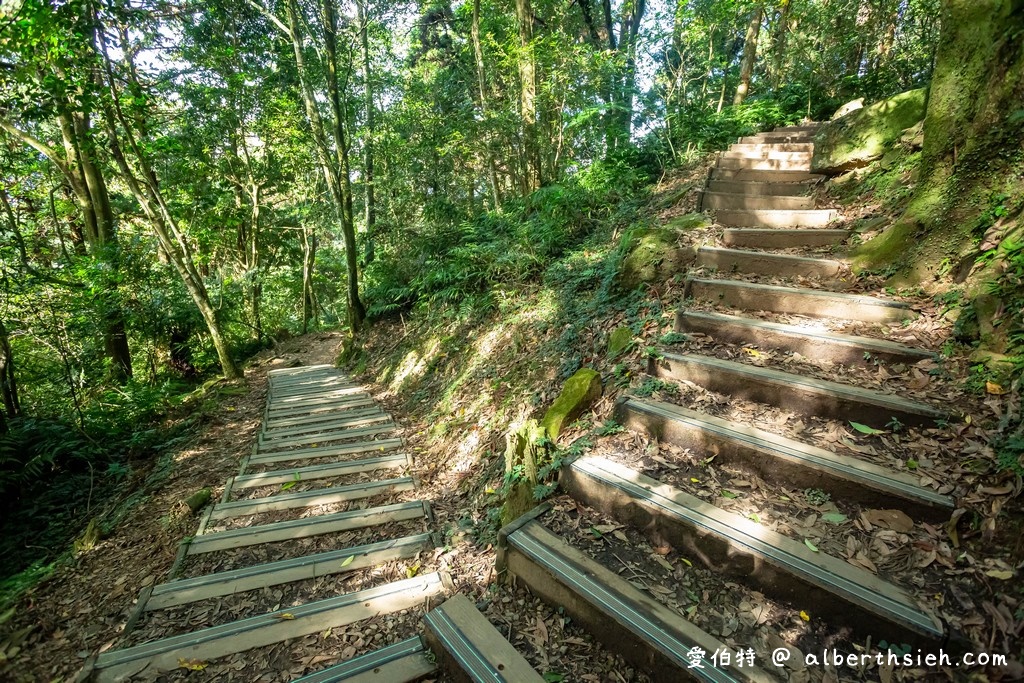 東眼山國家森林遊樂區．桃園復興景點（優惠門票、路線攻略、交通方式，自導式步道海拔1212公尺的台灣小百岳） @愛伯特