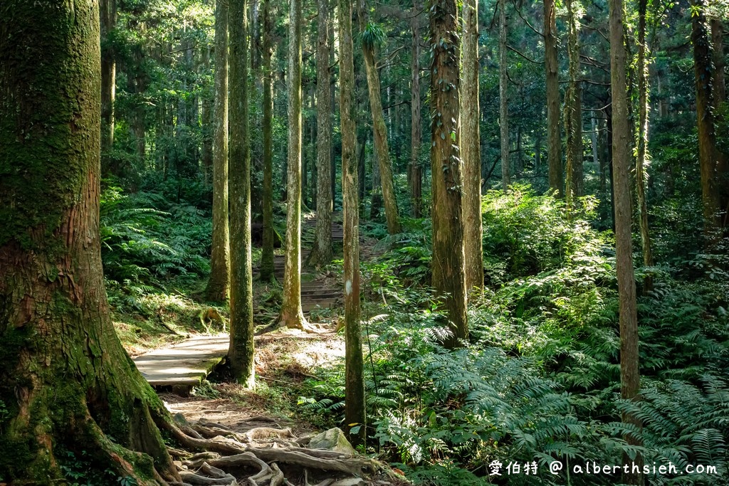 太魯閣立德布洛灣山月村．花蓮秀林住宿（群山環繞的美景飯店） @愛伯特