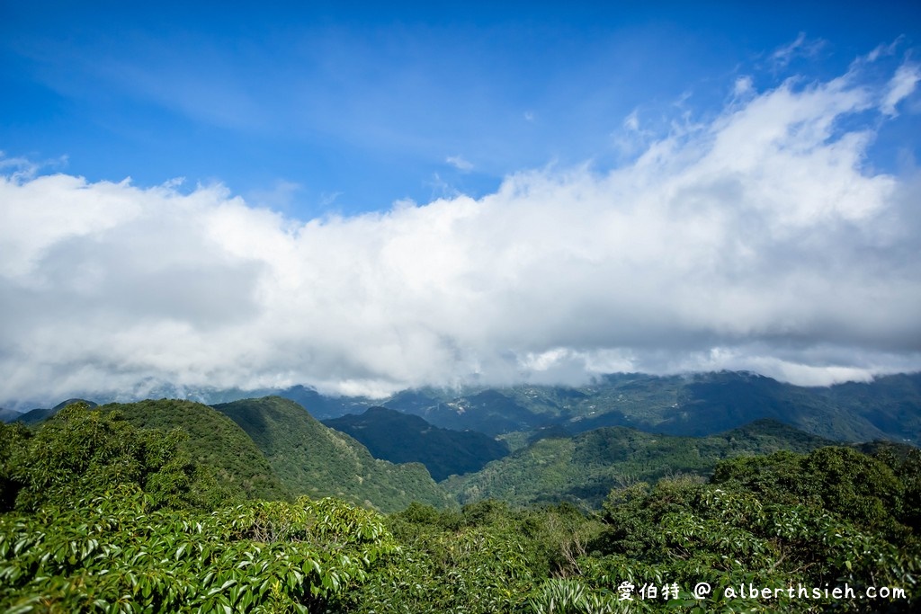 東眼山國家森林遊樂區．桃園復興景點（優惠門票、路線攻略、交通方式，自導式步道海拔1212公尺的台灣小百岳） @愛伯特