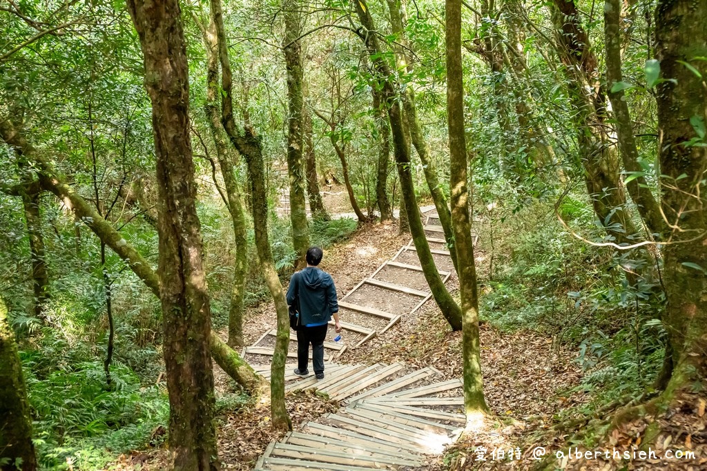 東眼山國家森林遊樂區．桃園復興景點（優惠門票、路線攻略、交通方式，自導式步道海拔1212公尺的台灣小百岳） @愛伯特