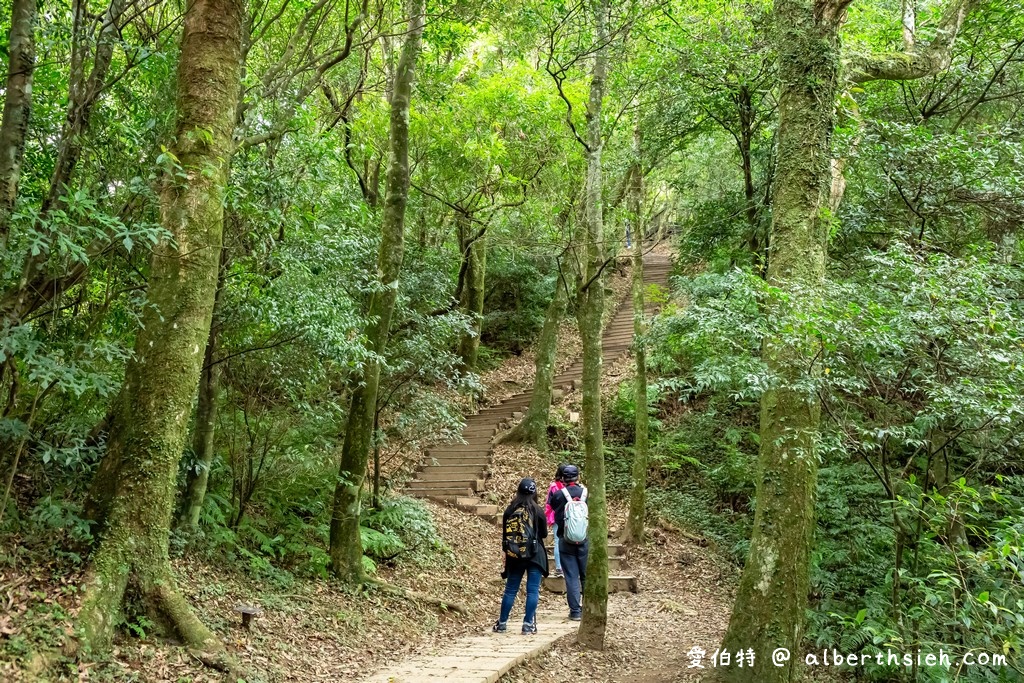 東眼山國家森林遊樂區．桃園復興景點（優惠門票、路線攻略、交通方式，自導式步道海拔1212公尺的台灣小百岳） @愛伯特