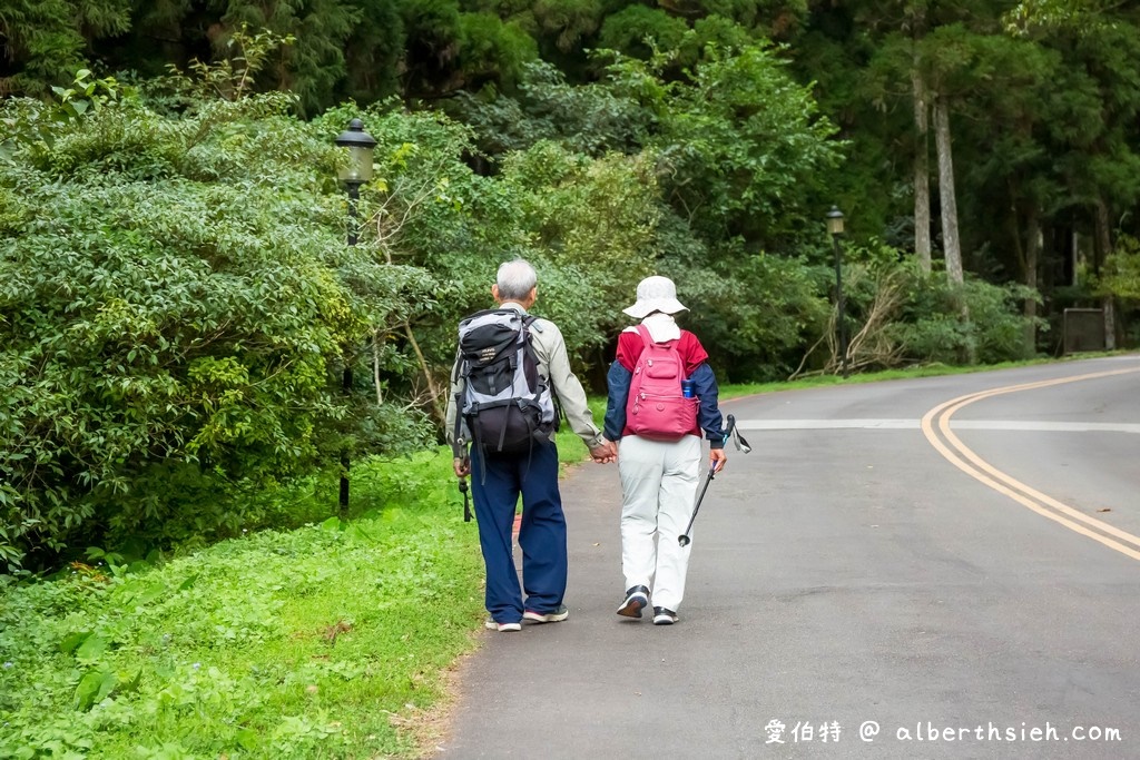 東眼山國家森林遊樂區．桃園復興景點（優惠門票、路線攻略、交通方式，自導式步道海拔1212公尺的台灣小百岳） @愛伯特