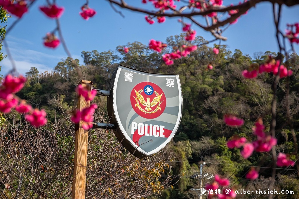 台中后里景點．后科路炮仗花（綿延數十公尺橘色花海，祝大家大橘大利） @愛伯特