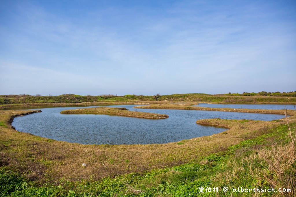 許厝港濕地，桃園大園景點（北台灣最大的海岸濕地，候鳥過冬棲息地，絕佳賞鳥地點） @愛伯特