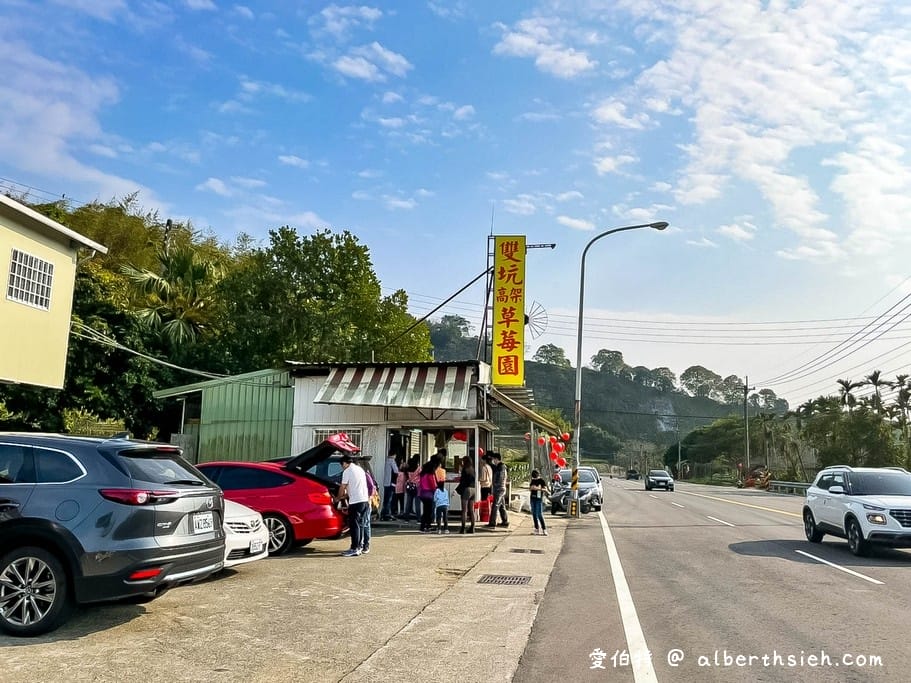 苗栗大湖採草莓．雙坑高架草莓園（台三線旁方便停車，又大又甜又好吃）(Aries遊記)