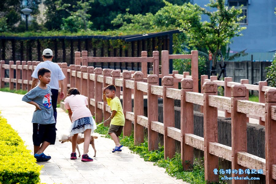 社子支渠流蘇步道．桃園平鎮景點（流蘇花&麻葉繡球四月雪景觀步道）