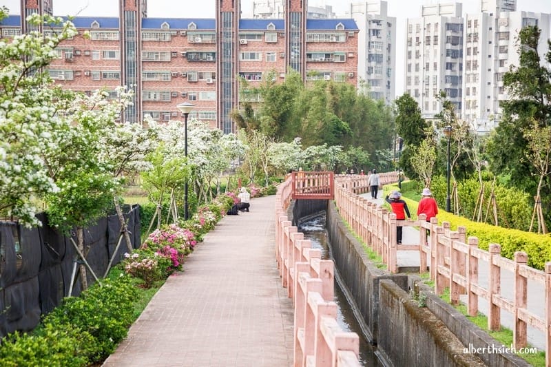 社子支渠流蘇步道．桃園平鎮景點（流蘇花&麻葉繡球四月雪景觀步道）