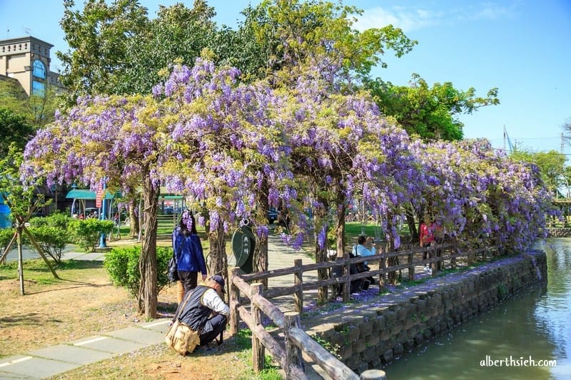 大湖紀念公園．桃園龜山景點（紫藤流蘇盛開美景美不勝收）