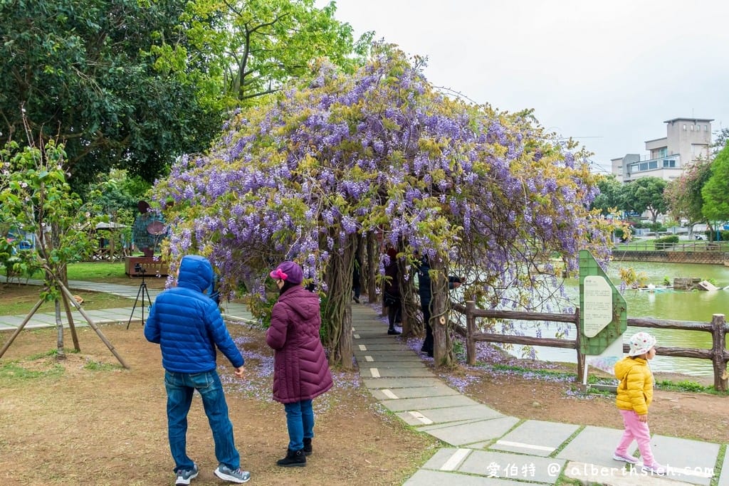 大湖紀念公園．桃園龜山景點（紫藤流蘇盛開美景美不勝收）