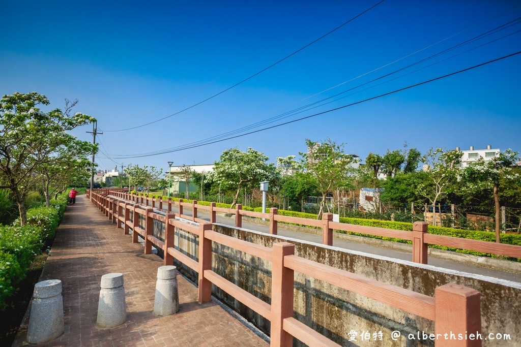 社子陂塘生態公園．桃園平鎮景點（適合親子休閒的埤塘公園，3,4月可以賞流蘇） @愛伯特