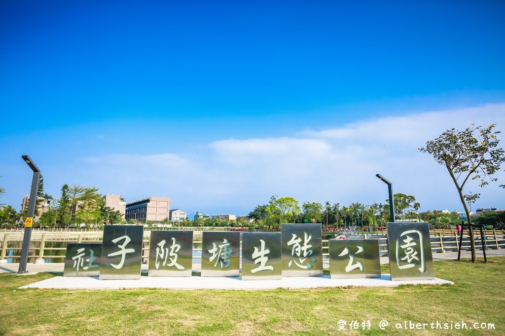 桃園平鎮流蘇步道．社子支渠流蘇步道（流蘇花&#038;麻葉繡球相互爭妍鬥豔的四月雪賞花步道） @愛伯特