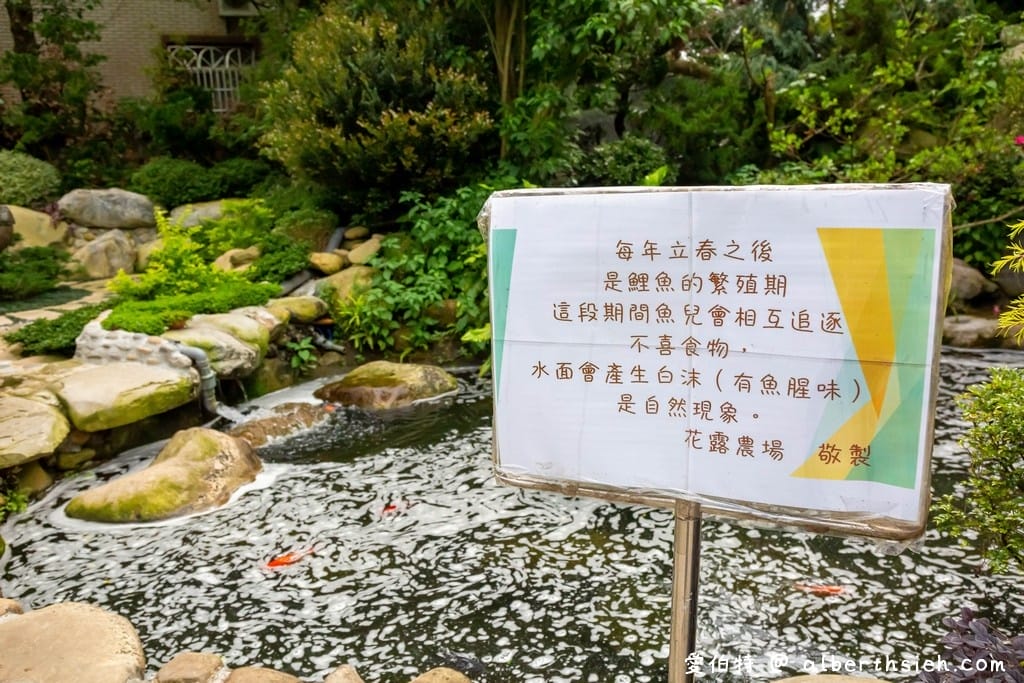 花露休閒農場・苗栗卓蘭景點（繡球花牆超美必拍，讓你泡在繡球花海裡！）