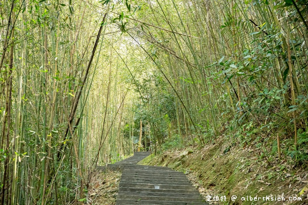 桃園復興景點．舊水圳古道（竹林步道，串連小烏來天空步道與義興吊橋） @愛伯特