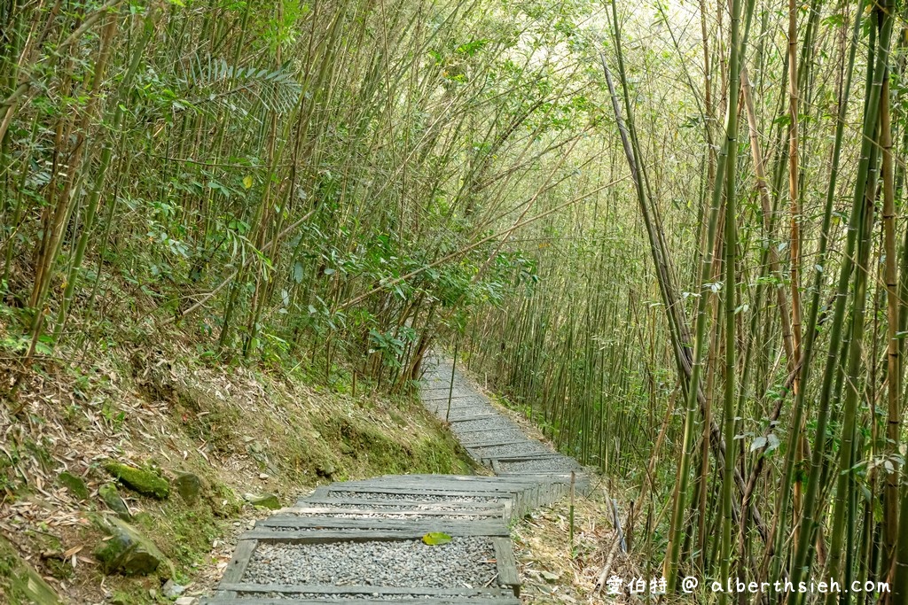 桃園復興景點．舊水圳古道（竹林步道，串連小烏來天空步道與義興吊橋） @愛伯特