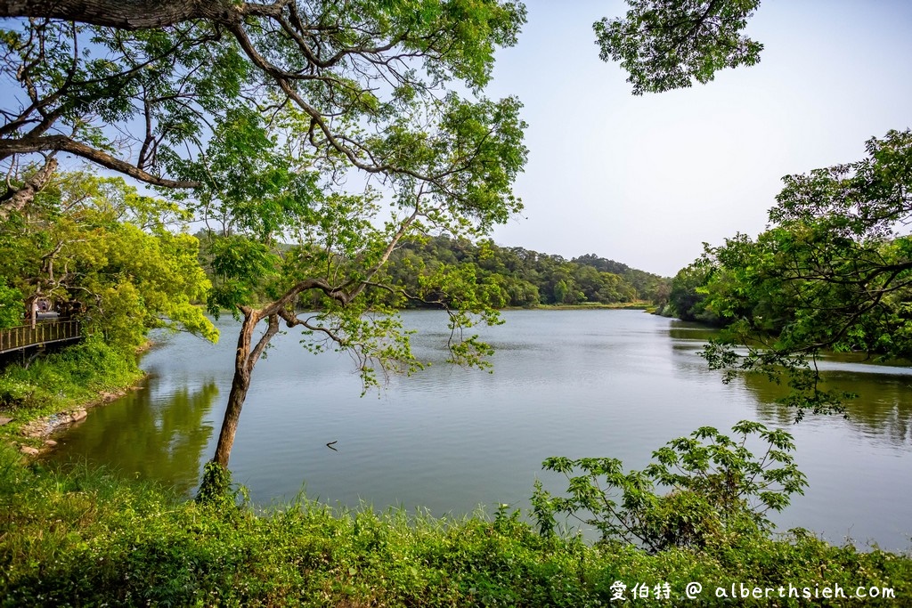 西湖渡假村映象水岸．苗栗三義美食（峇里島風湖畔景觀咖啡廳，還可以踩天鵝船） @愛伯特