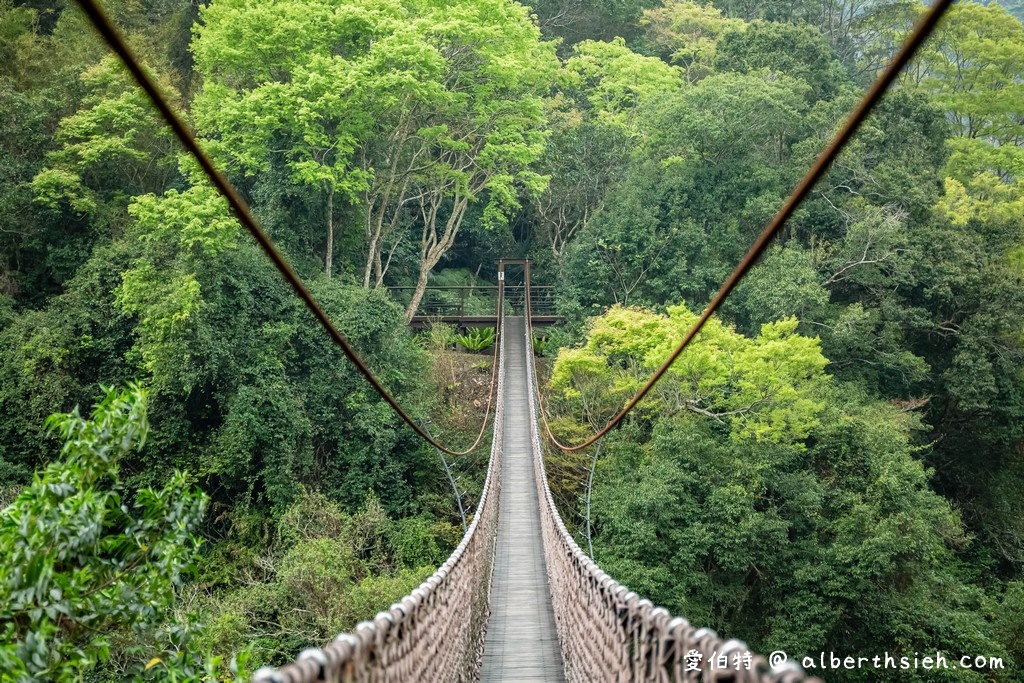 桃園復興景點．小烏來天空步道。天空繩橋（漫步70公尺高，賞溪谷瀑布美景） @愛伯特