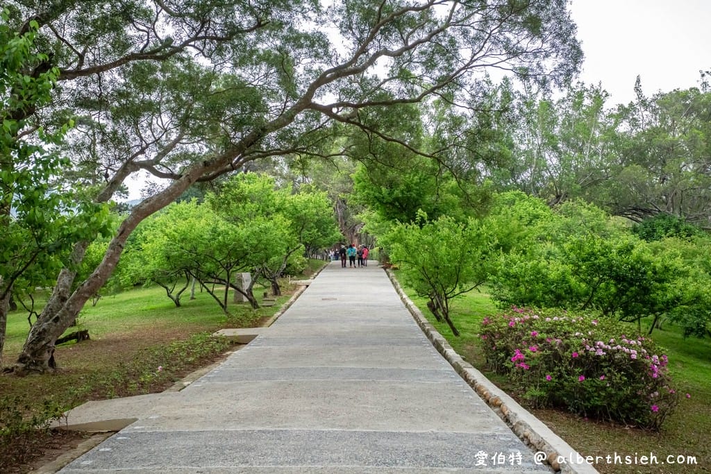 桃園復興一日遊（10大景點，愛伯特帶你吸進滿滿的芬多精）