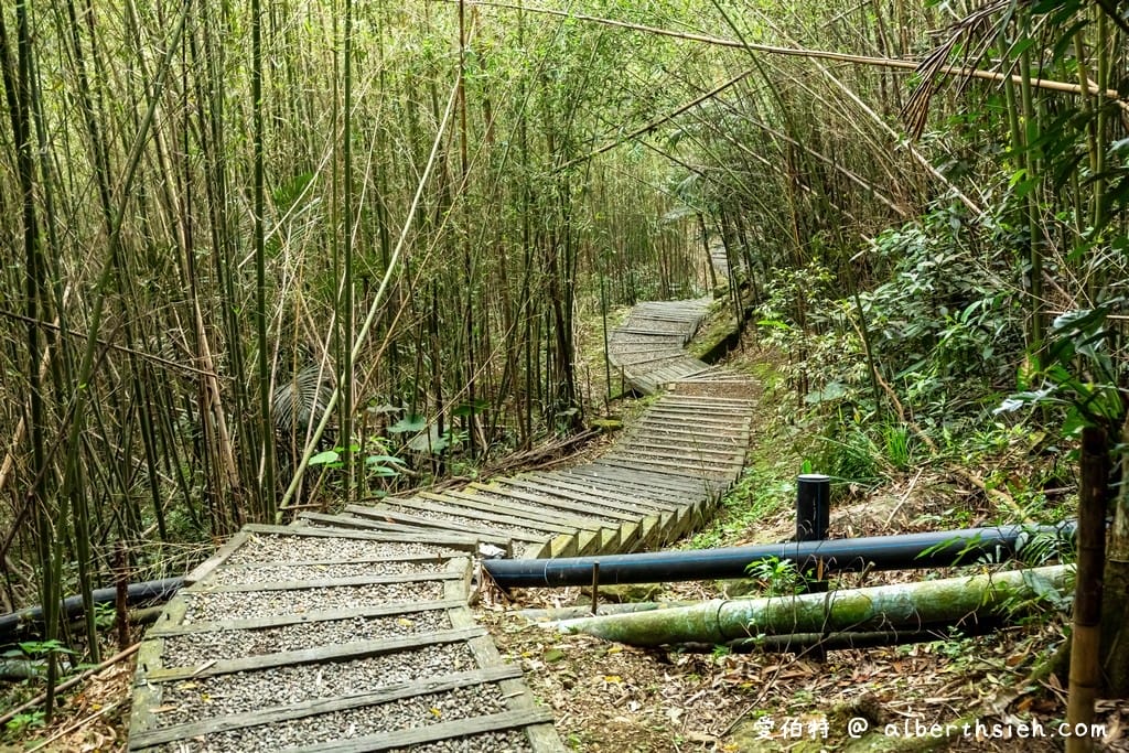 桃園復興一日遊（10大景點，愛伯特帶你吸進滿滿的芬多精）