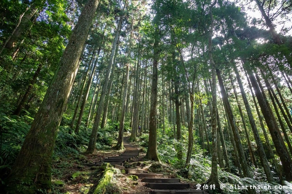 桃園復興一日遊（10大景點，愛伯特帶你吸進滿滿的芬多精）