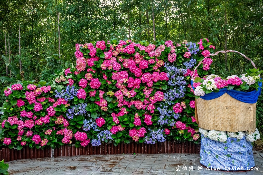 桃園繡球花季2022第2屆．時間、9處賞花地點 @愛伯特