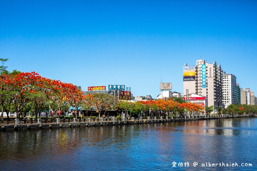 台南運河鳳凰花．台南安平景點（驪歌響起時就是火紅鳳凰花綻放時） @愛伯特