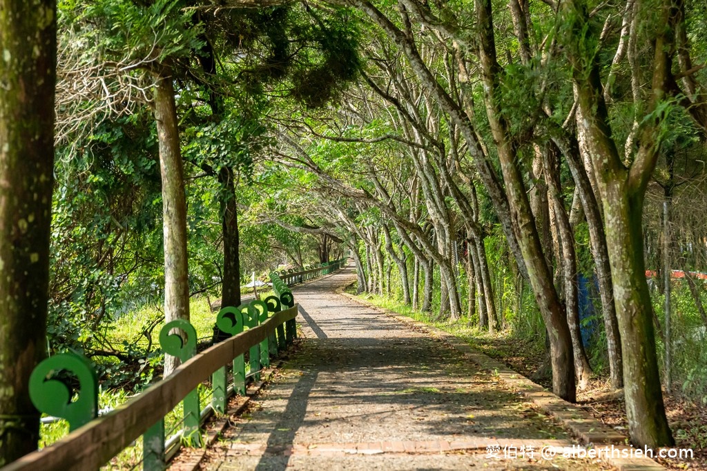 日月潭月牙灣（船隻未行駛的夢幻秘徑超美！SUP立槳水上樂園/月潭自行車道） @愛伯特