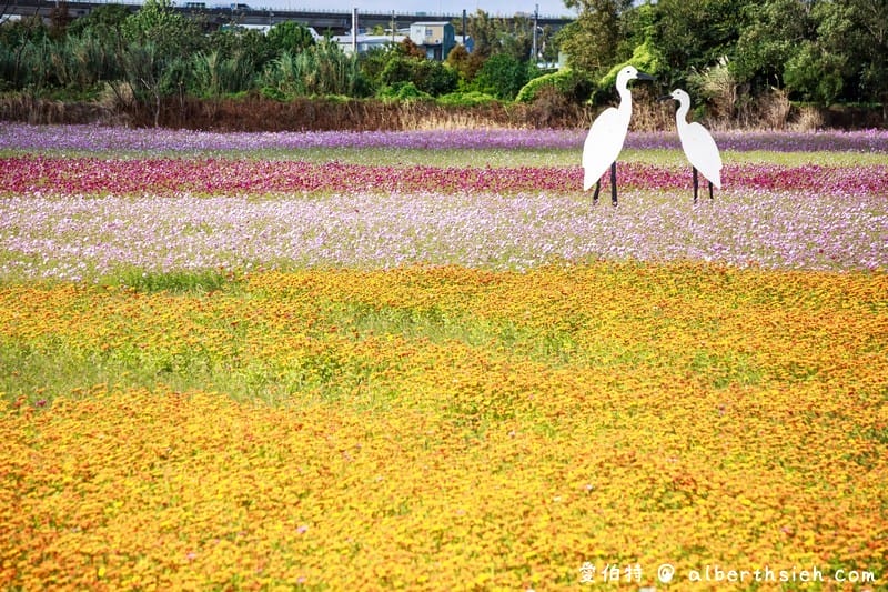 2021桃園花彩節平鎮花彩節（時間/交通接駁/主題活動/停車位置）