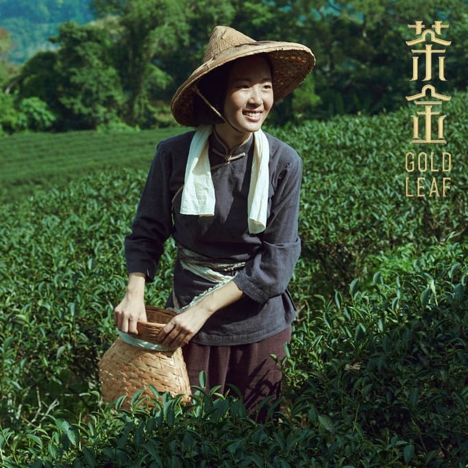 茶金線上看（台灣首部海陸腔客語劇，連俞涵、溫昇豪、郭子乾主演，電視劇讓你免費追）