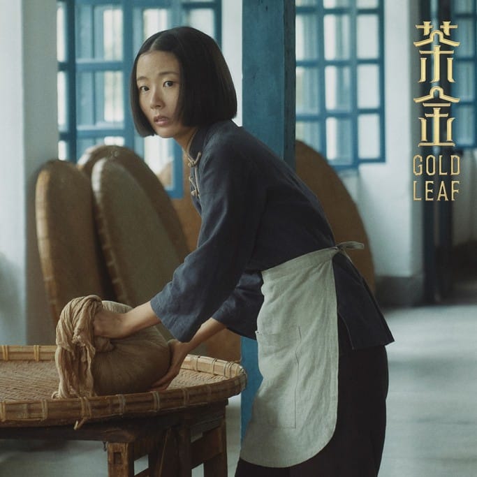 茶金線上看（台灣首部海陸腔客語劇，連俞涵、溫昇豪、郭子乾主演，電視劇讓你免費追）